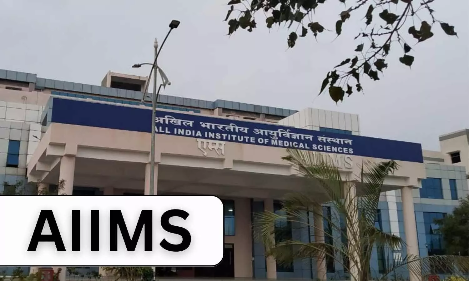 Delhi AIIMS doctors perform awake craniotomy surgery for brain tumour on 5-year-old girl